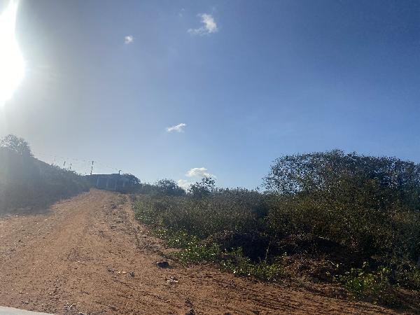 RUA DOS CANAVIAIS, N. 362, 13321