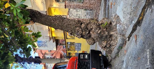 RUA DOUTOR NOGUCHI, N. 67, .