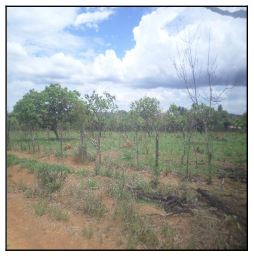 AVENIDA XVI, N. SN, LOTE 10 QD 266