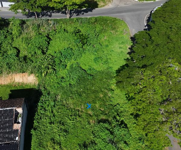 RUA A ÁREA I, N. SN, LOTEAMENTO NOVO BAIRRO DA CONCEIÇÃO