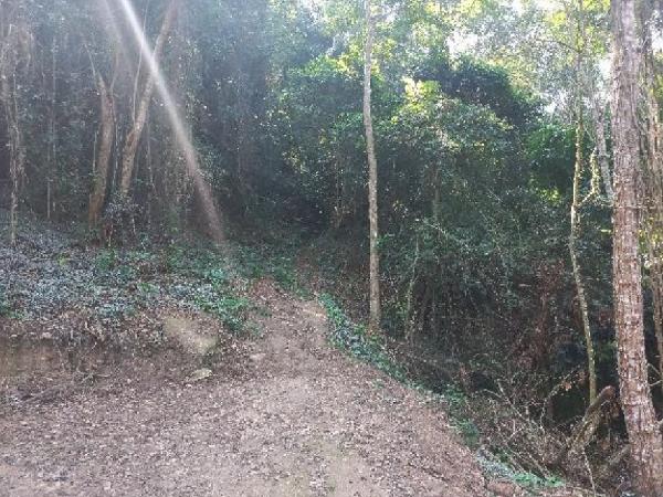 R JORNALISTA CARLOS SILVA, N. 0, LOTE 18, QUADRA 435
