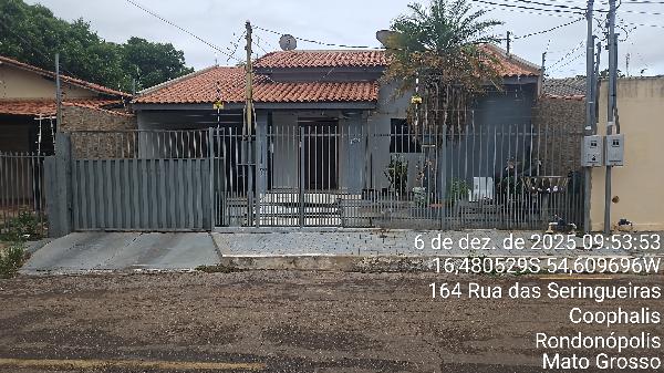 RUA SERINGUEIRAS, N. 183, CS C-2 LT 02 QD U