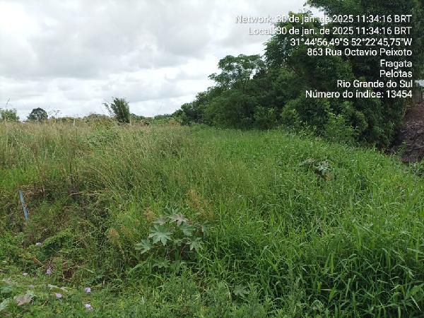 RUA MARILDA ZAIDEM MESQUITA, N. 62,